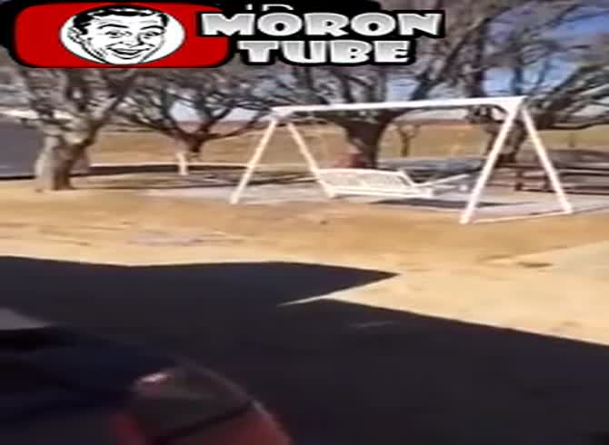 Video :A man tells his pets a really terrible joke
